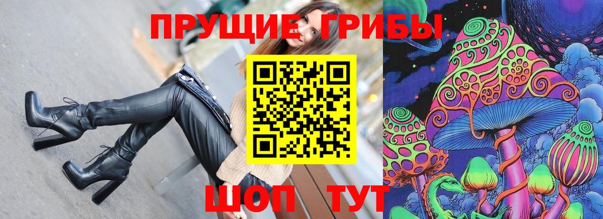 Губкинский  Галлюциногенные грибы MAGIC MUSHROOMS  Вход с VPN 